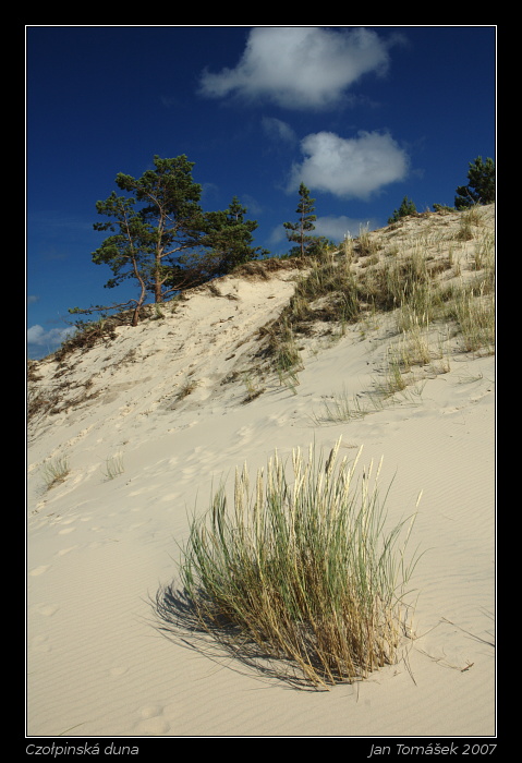 Czołpinká duna